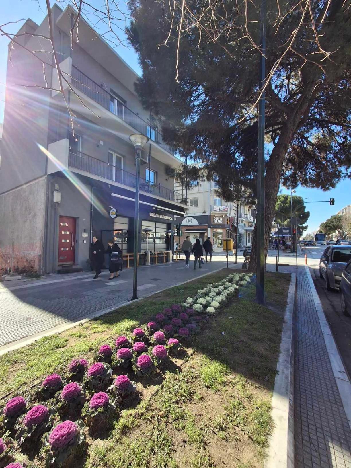 Apartment Center 1 Alexandroupoli